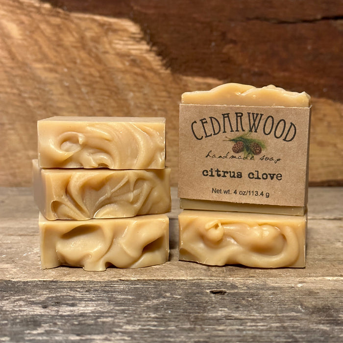 Five bars of Citrus Clove handmade beer soap