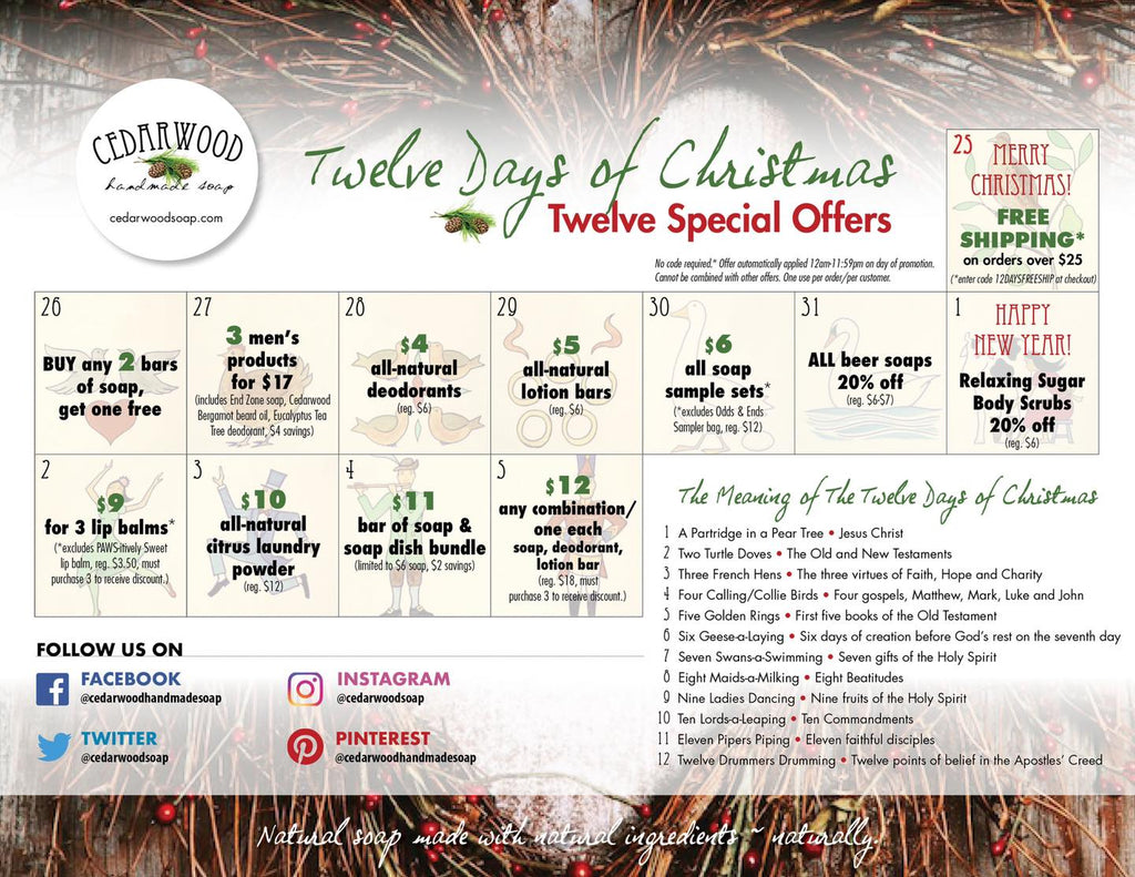 12 Days of Christmas | 12 Special Offers